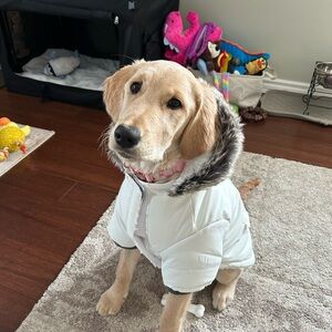 White Hotel Doggy Dog Jacket with Faux Fur Hood